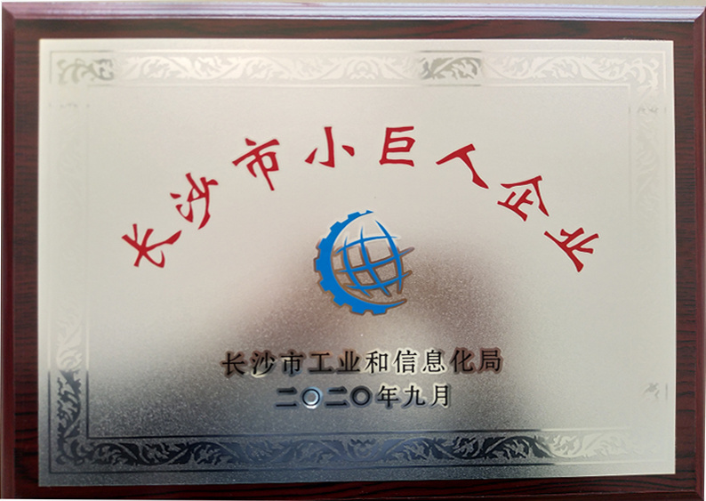 长沙市小巨人企业