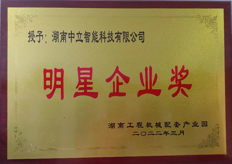 明星企业奖